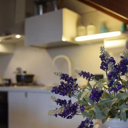 Apartmán Calilla - Maestrale