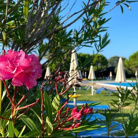 Calilla - Maestrale Apartment Grado